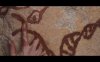 1_Las_pinturas_de_la_cova_del_tabac