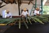 25_Agave