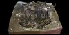 dt_necropole_treviec_sepulture_de_teviec_global